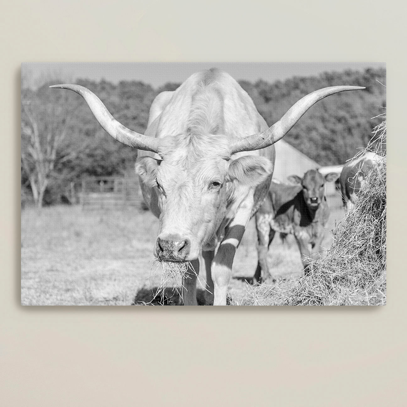 What Long Horns You Have