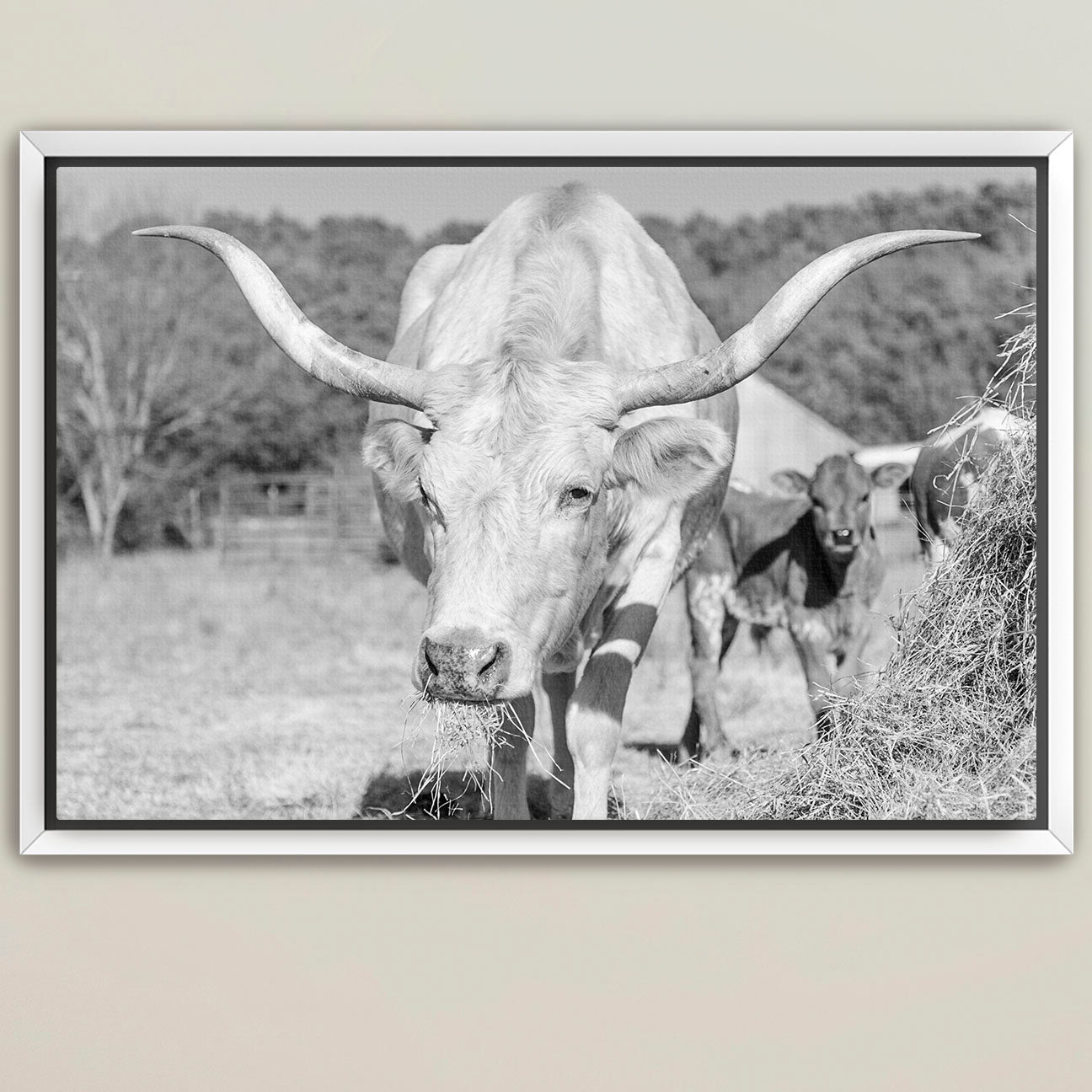 What Long Horns You Have